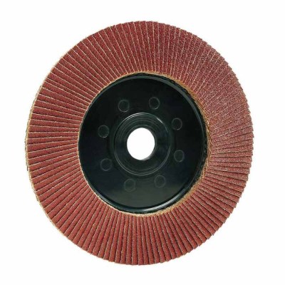 Ersatzfächerscheibe 170 mm Korn 50