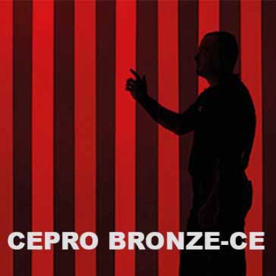 Schweißlamellen, CEPRO, bronze, 300x2mm